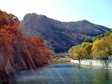 澳门二四六天天彩图库，鲸鱼呕吐物